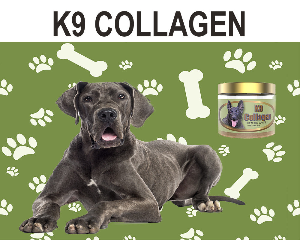 Best Hip & Joint Supplement from K9Collagen for Your Dog: A Review